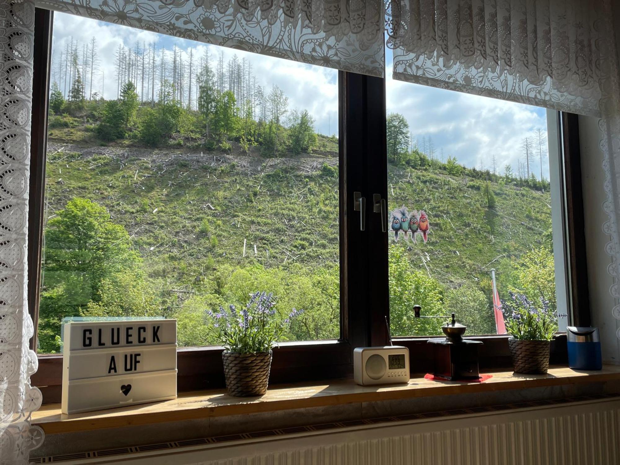 datHuus Sankt Andreasberg Bagian luar foto